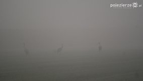 Różne barwy jesieni - zdjęcie 27