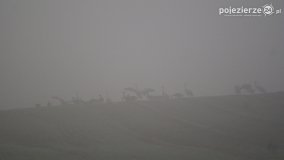 Różne barwy jesieni - zdjęcie 25