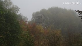 Różne barwy jesieni - zdjęcie 24