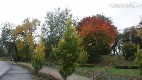 Różne barwy jesieni - zdjęcie 20