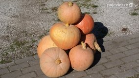 Różne barwy jesieni - zdjęcie 19