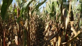 Różne barwy jesieni - zdjęcie 16