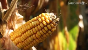 Różne barwy jesieni - zdjęcie 14