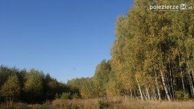 Różne barwy jesieni - zdjęcie 11