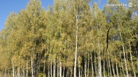 Różne barwy jesieni - zdjęcie 10