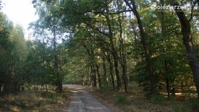 Różne barwy jesieni - zdjęcie 9