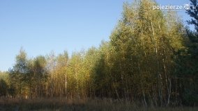 Różne barwy jesieni - zdjęcie 8