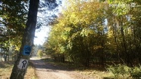 Różne barwy jesieni - zdjęcie 7