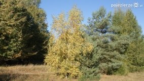 Różne barwy jesieni - zdjęcie 6