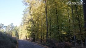 Różne barwy jesieni - zdjęcie 5