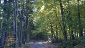 Różne barwy jesieni - zdjęcie 4