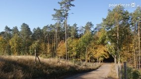 Różne barwy jesieni - zdjęcie 3