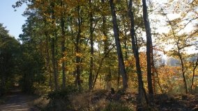 Różne barwy jesieni - zdjęcie 2