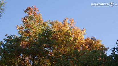 Różne barwy jesieni
