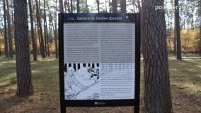 Odnowiona pamięć w Lasach Rożnowskich - zdjęcie 43