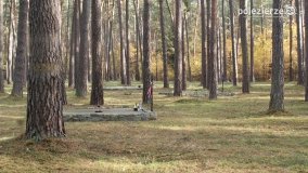 Odnowiona pamięć w Lasach Rożnowskich - zdjęcie 36