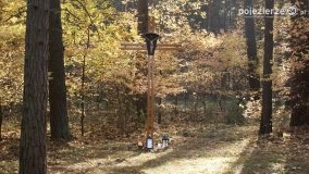 Odnowiona pamięć w Lasach Rożnowskich - zdjęcie 35