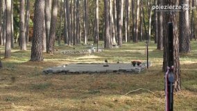 Odnowiona pamięć w Lasach Rożnowskich - zdjęcie 31