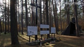 Odnowiona pamięć w Lasach Rożnowskich - zdjęcie 16