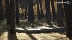 Odnowiona pamięć w Lasach Rożnowskich - zdjęcie 12