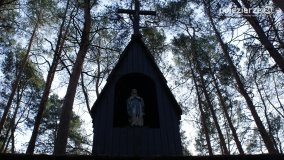 Odnowiona pamięć w Lasach Rożnowskich - zdjęcie 8