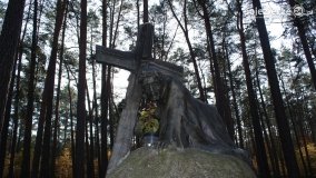 Odnowiona pamięć w Lasach Rożnowskich - zdjęcie 6