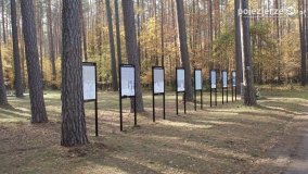 Odnowiona pamięć w Lasach Rożnowskich - zdjęcie 4