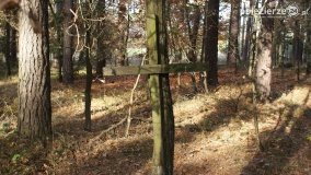 Odnowiona pamięć w Lasach Rożnowskich - zdjęcie 2