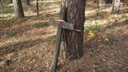 Odnowiona pamięć w Lasach Rożnowskich