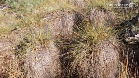 Jesień na Bagnach Chlebowo  - zdjęcie 44