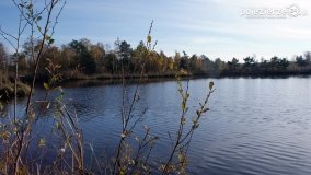 Jesień na Bagnach Chlebowo  - zdjęcie 42