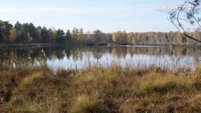 Jesień na Bagnach Chlebowo  - zdjęcie 41