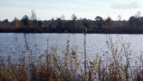 Jesień na Bagnach Chlebowo  - zdjęcie 40