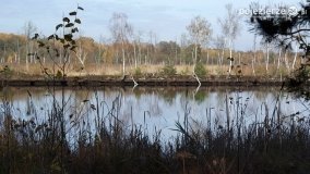 Jesień na Bagnach Chlebowo  - zdjęcie 38