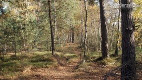 Jesień na Bagnach Chlebowo  - zdjęcie 37