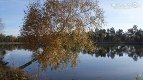 Jesień na Bagnach Chlebowo  - zdjęcie 36