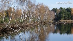 Jesień na Bagnach Chlebowo  - zdjęcie 35