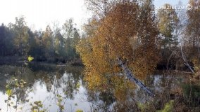 Jesień na Bagnach Chlebowo  - zdjęcie 34