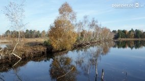 Jesień na Bagnach Chlebowo  - zdjęcie 33