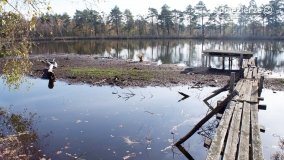 Jesień na Bagnach Chlebowo  - zdjęcie 32