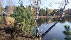 Jesień na Bagnach Chlebowo  - zdjęcie 28