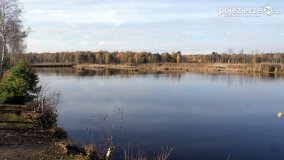 Jesień na Bagnach Chlebowo  - zdjęcie 26