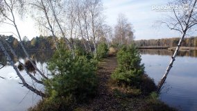 Jesień na Bagnach Chlebowo  - zdjęcie 25