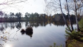 Jesień na Bagnach Chlebowo  - zdjęcie 24