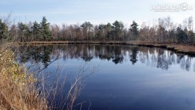 Jesień na Bagnach Chlebowo  - zdjęcie 21