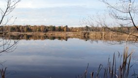 Jesień na Bagnach Chlebowo  - zdjęcie 18