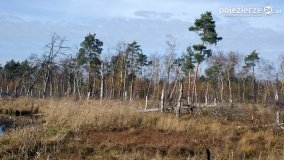 Jesień na Bagnach Chlebowo  - zdjęcie 4