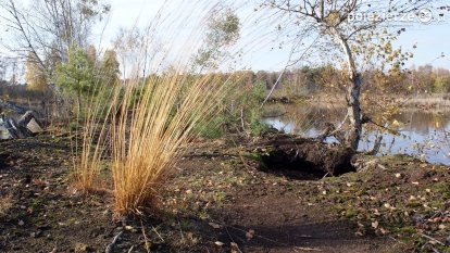 Jesień na Bagnach Chlebowo 