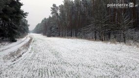Zima na Pojezierzu Gnieźnieńskim... - zdjęcie 24