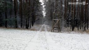 Zima na Pojezierzu Gnieźnieńskim... - zdjęcie 21